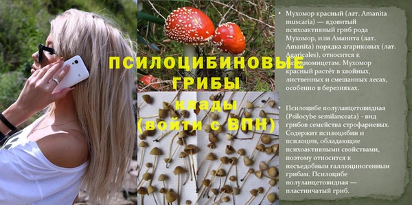 амфетамин Богородицк