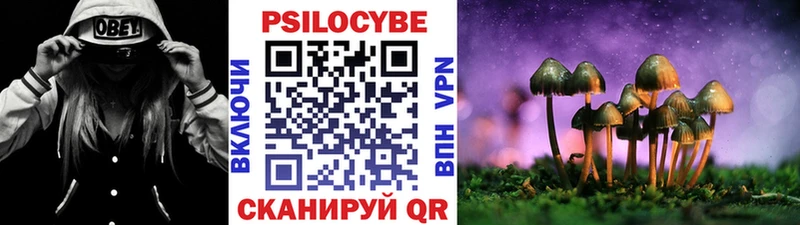 Псилоцибиновые грибы Psilocybe Полтавская