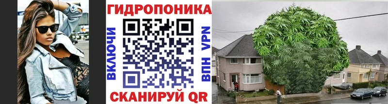 Каннабис ГИДРОПОН кракен как войти Полтавская